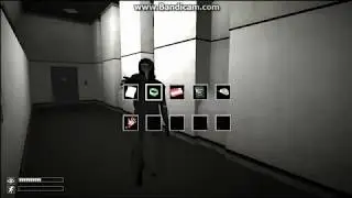 Useful SCPs And how to use them correctly