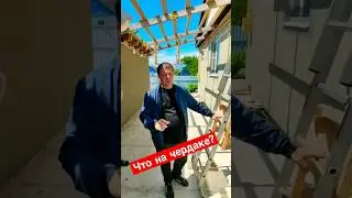 🌴Дом в ст. Новоминская.  5 500 000 81м2, 8.5 соток