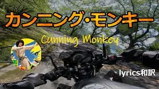 カンニング･モンキー Cunning monkey［ジャッキー･チェン］(日本語訳)
