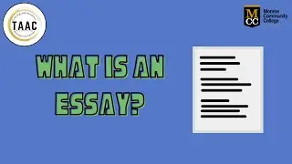 What Is An Essay?
