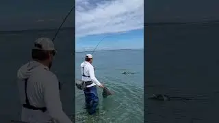 A Fly Rod Designed to Make Things Easier