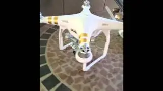 2 MONTH OLD Phantom 3 professional- ( ESC ERROR) WILL DJI DO WHAT'S RIGHT AND FIX IT. (PART 1 )