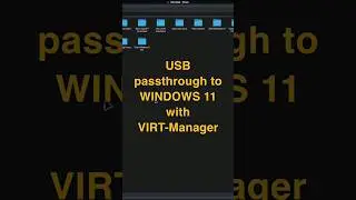 Pass through any USB device from Linux to Windows 11 VM