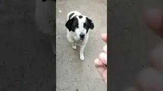 Утилизатор огуречных попок 😂😂 Такой есть почти у каждого 🔥 