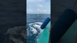 Мальдивы