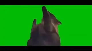 Все футажи которые я использую