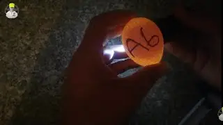 Yumurtada yavru kontrolü nasıl yapılır?
