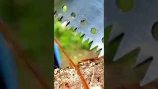 Как садовая пила отпилит дерево ?)