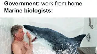 Relatable Memes Picture 