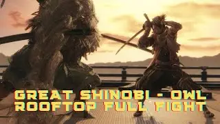 Great Shinobi - Owl - Rooftop Full Fight