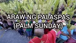 PALM SUNDAY (ARAW NG PALASPAS) OUR LADY OF MANAOAG CHURCH