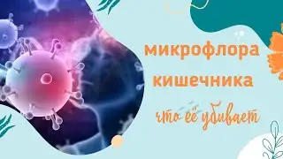 Нормальная микрофлора кишечника. От чего она погибает.
