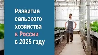 РАЗВИТИЕ СЕЛЬСКОГО ХОЗЯЙСТВА В РОССИИ 2025