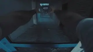 lenoy flow pov