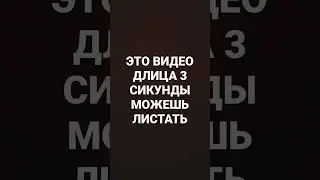 4 ноября 2022 г.