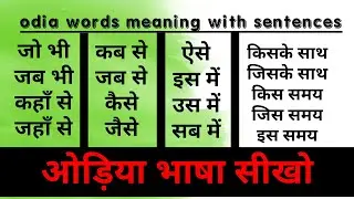 odia words meaning with sentences || hindi to odia || odisha bhasa || odia language ||