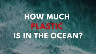 How much plastic is in the ocean?
