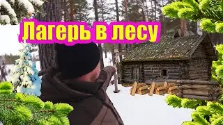 #землянка Обнаружил новый лагерь в лесу