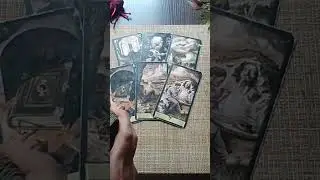 О чем вскоре пожалеет?