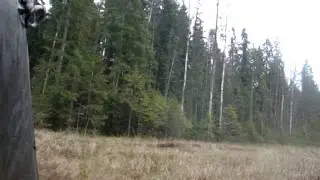 MOV01998