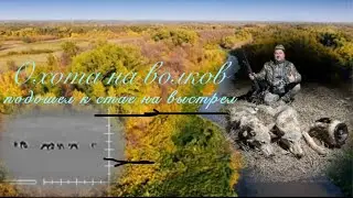 Охота на волков. Подкрался ночью к стае «в узёрку»
