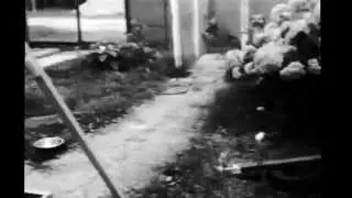 Scary Video