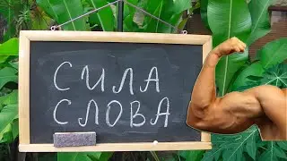 КАК ПРОКАЧАТЬ СИЛУ СЛОВА? [Сила слова]