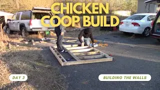 Chicken Coop Build Day 3 Building The Walls
