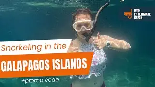 Snorkeling in the Galapagos Islands with EF Ultimate Break + $100 off  promo code