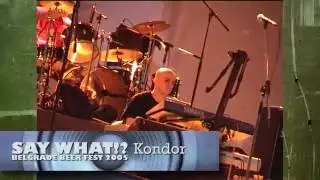 Say What!? - Kondor