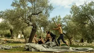 Camping and Olive Picking in Albania | On The Road 6