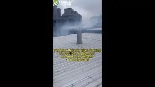 1 ton biomass boiler smoke purifying system for