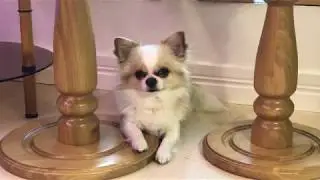 УХОД ЗА ОРХИДЕЯМИ. УБИРАТЬ ЛИ ТОРФЯНОЙ СТАКАН!
