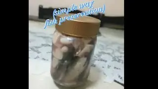 how to make an tawilis fish preservation *(simple way)*