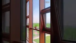 wood curtain wall