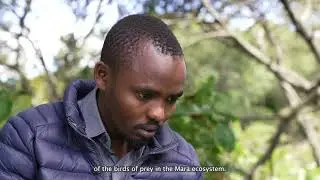 Saving the Vulture: One Man's Quest
