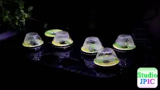 AeroGarden Harvest Heirloom Salad Greens VLOG day 3