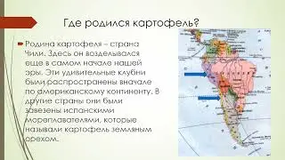 История об обыкновенной картошке история 6 кл