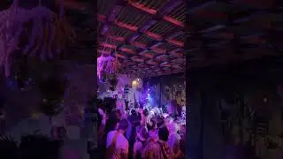 Double Touch Live at Music is 4 Lovers Clip#7  [2023-06-11 @ Camino, San Diego] [MI4L.com] #shorts