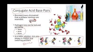 BC 15 4 Bronsted Lowry Acids Bases