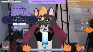 How Fab Cat drinks