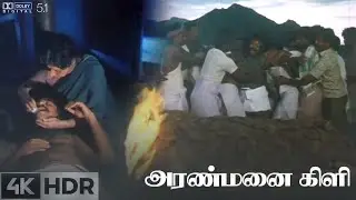 En Thaayenum Kovilai | Aranmanai Kili | Rajkiran | Ilaliyaraaja | 5K