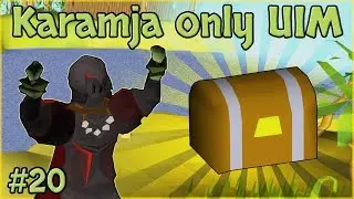 I got 1 Clue Casket in 27,348 Harpie Bug Swarms - Karamja Only UIM (#20)