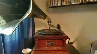 The Georgia Grind- Signor Grinderino