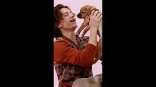 Puppy Interview... Marvel Edition! 