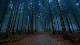 MADMAN - MINULOST