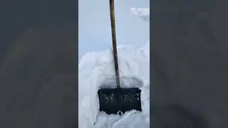 Реалии деревенской жизни вчера было красиво...сегодня РАБОТАТЬ надо 🌌 🏘 👨‍❤‍👨 🌹 🌅, 🌃 ⚫️ 💪 👷
