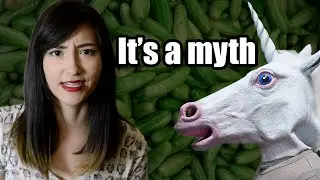 Myth Myth Myth (The Wage Gap)