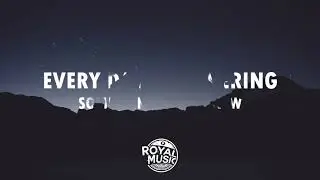 Ed Sheeran - Shape Of You [Lyric Video]