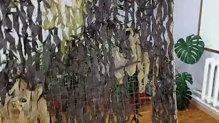 16 февраля 2024 г.